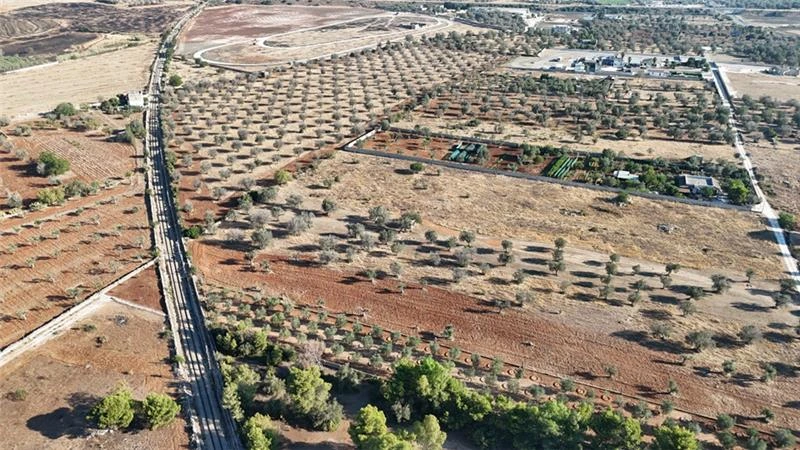 Progetti in sviluppo